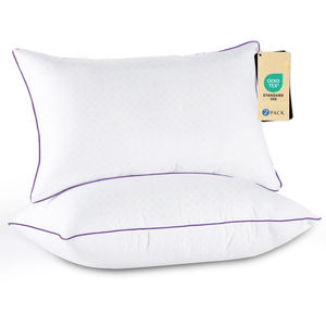 Coussins d'hôtel alternatifs en duvet Oreillers d'hôtel en microfibre <span class=keywords><strong>de</strong></span> polyester <span class=keywords><strong>de</strong></span> haute qualité Lot <span class=keywords><strong>de</strong></span> 2 oreillers <span class=keywords><strong>de</strong></span> lit d'hôtel en microfibre 0.98 d - Product Image 1