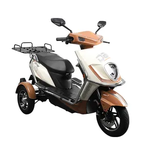 New Leisure Electric Three wheeled Motorcycle 45km Long Range Electric Motorcycle Cargo Electric Motorcycle