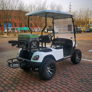 Barato Mini 2 pasajeros usado alto rendimiento señal Seater Custom Road Legal vehículo eléctrico Club coche carros de Golf - Product Image 4