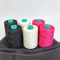 Fil à coudre en polyester haute résistance 3000Y 500g coloré 2 brins 40s