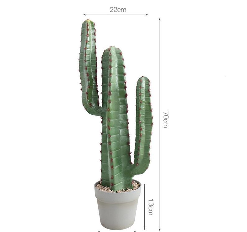 Cactus de velours rouge B