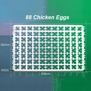 Matériel Agricole en Plastique de Meilleure Qualité : Plateau Alvéolé <span class=keywords><strong>d</strong></span>'Incubateur pour Œufs de Poule, Canard, Oie et Caille - Product Image 2