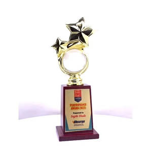 Trofeo de premio con acabado dorado y base de madera para reconocer el rendimiento, con diseño de estrella y bola de cristal. - Product Image 1