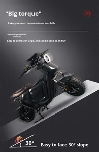 Moped électrique urbain tendance, haute vitesse 60 km/h, capacité de charge de 200 kg, scooter électrique pour l'exportation - Product Image 6