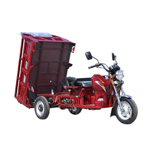 Tricycle à moteur à essence personnalisable de grande capacité pour adultes, modèle 2020, avec une charge utile de 800 kg - Product Image 2