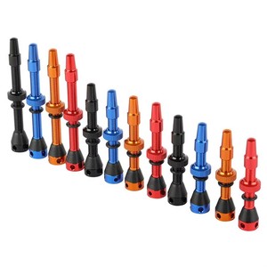 <span class=keywords><strong>Valve</strong></span> Presta française sans chambre en alliage d'aluminium pour vélo de route MTB 4 trous en tailles 40mm 44mm 48mm <span class=keywords><strong>60mm</strong></span> - Product Image 6