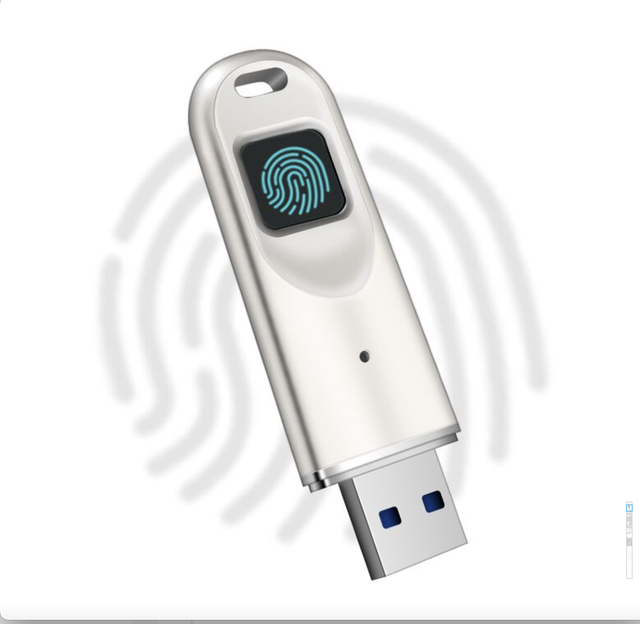 High Quality Standard Fingerprint Code Fast Speed USB 3.0 Usb Flash Drive 64gb/128gb,Thumb Drive Fingerprint Encrypted Usb
