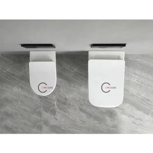 WC de salle de bain, toilettes à deux pièces, design moderne, sans bride, siphon en P, modèle occidental, siège de toilettes pour enfants, fabrication OEM - Product Image 2