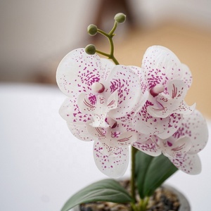 Orchidee finte Orquideas artificiale Real Touch Vivid Orchid Phalaenopsis pianta <span class=keywords><strong>orchidea</strong></span> artificiale fiori piante <span class=keywords><strong>con</strong></span> <span class=keywords><strong>vaso</strong></span> - Product Image 4