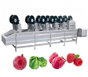 Công nghiệp <span class=keywords><strong>3m</strong></span> lettucestrong Gió Nước Loại bỏ máy Air Blower Máy sấy trái cây và rau dehydrator cho dây chuyền chế biến thực phẩm - Product Image 5