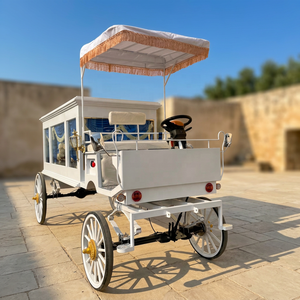Carroza Fúnebre Eléctrica Blanca con Caballos para Desfiles Fúnebres, Carroza Fúnebre de Alta Calidad, Remolque para Ataúdes - Product Image 1