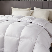 Couette légère et fraîche en fibres de soie de soja compressée pour l'été, épaisse pour l'hiver, pour étudiant, simple, avec garnissage