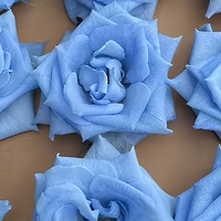 Rose éternelle Margaret : Coffret cadeau de fleurs séchées pour décoration florale de mariage et de maison