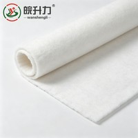 Système de séparation et de filtration des couches de ballast ferroviaire en géotextile à filament continu WSL 500g pour la construction routière perméable