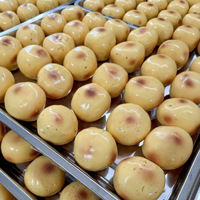 Boule réaliste en forme de pomme de terre, bloc de construction fait main – Jouet anti-stress réaliste avec sensation de pâte thermoplastique