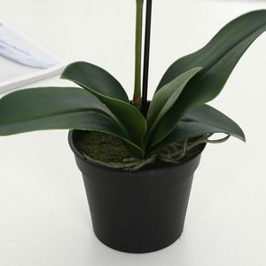 High End Artificial <strong>Real</strong> <strong>Touch</strong> <strong>Orchid</strong> Flower Plant With Gold Pot for Home Hotel Garden Showroom Shop Decoration