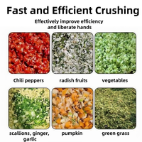 Broyeur de herbes et légumes, broyeur d'aliments pour volailles et bétail, broyeur de légumes racineux pour l'alimentation des poulets