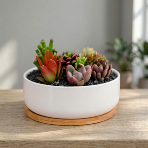 Maceta de Cerámica Blanca para Suculentas, Maceta Esmaltada, Contenedor Minimalista para Plantas de Escritorio, Decoración para el Hogar y la Oficina - Product Image 2