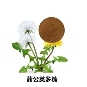 Dandelion Root Extract Benefits 84775-55-3 Dandelion Whole Plant Extract