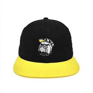 Gorra Snapback Personalizada de 6 Paneles con Bordado 2D, Visera Plana de Dos Tonos, para Adultos, para Deportes y Ropa Urbana, Hecha en Vietnam, de Alta Calidad - Product Image 2