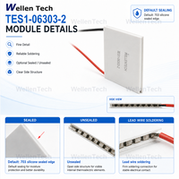 Module de contrôle thermique OEM TEC TES1-06303 15x30x3.4 mm 7.64 V 13.2 W pour stabilisation de la température du générateur de fréquence