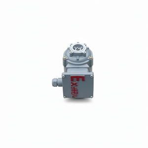 Pompe à huile électrique Xin Fei YSB5014 40W avec moteur en fonte antidéflagrant pour le transfert d'huile de lubrification - Product Image 1