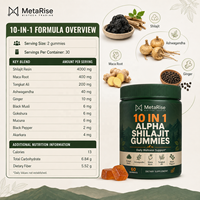 Gummies de Shilajit 10-en-1 en gros avec Ashwagandha et Mousse de Mer, favorisent l'énergie, la concentration et la vitalité, complément bien-être quotidien