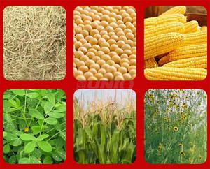 ค้อนบดข้าวโพดสีทองสำหรับเครื่องยนต์ดีเซล - Product Image 6