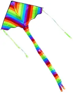 Rainbow Delta Kite From WeiFang Kite Factory