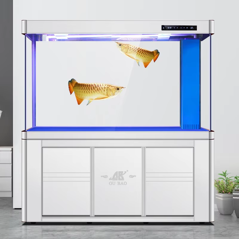 Blanc avec la frontière argentée