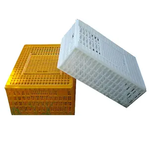 best quality plastic chicken transport cages broiler transport cage for chicken farm