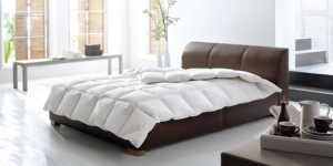 5%-95% White Goose/duck Down Comforter <strong>Duvet</strong> Insert <strong>All</strong> <strong>Season</strong> for Hotel Home - Product Image 5