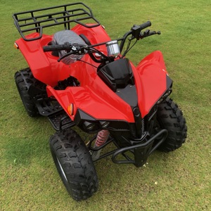 <span class=keywords><strong>Quad</strong></span> chinois 125cc pour adultes, fabriqué en Chine - Product Image 6