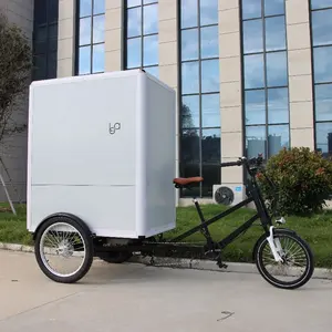 Çin üreticileri şehir sokak Touring üç tekerlekli elektrikli kargo Trike, büyük kutu mal taşıma bisiklet