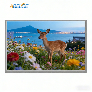 Pantalla LCD Industrial Sharp de 12.1 Pulgadas, 1280x800, 100% sRGB, Alta Gama de Colores, para Imágenes Médicas, Monitor Profesional LQ121K1LG53 - Product Image 1