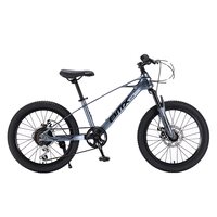 Vélo de montagne MTBGO, fabricant, 20 pouces, frein à disque double, fourche à 7 vitesses, utilisation hors route, pédales ordinaires
