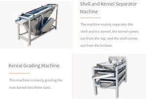 Gelgoog <span class=keywords><strong>Abricot</strong></span> Kernel Cracking Cracker Machine à éplucher les amandes/noisettes Ligne décortiqueuse - Product Image 6