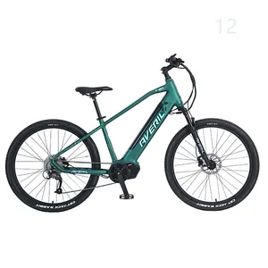 1000w 지방 타이어 전기 자전거 산 ebike 자전거 전기 산악 자전거, 풀 서스펜션 전기 자전거 전기 산