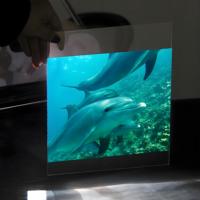 Film PET transparent robuste et imperméable pour emballage, usage longue durée, épaisseur et taille personnalisables, prêt à l'impression, marquage, découpe robuste