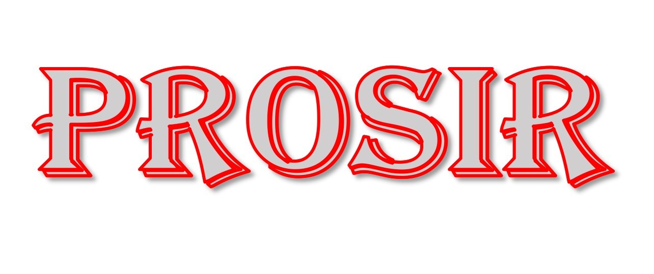 Weihai Prosir Metal Technology Co., Ltd logo
