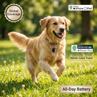 Micro Traceur GPS pour Animaux de Compagnie 2 7g Localisateur en Temps Réel Plus Petit Qu'une Pièce de Monnaie pour Chats Chiens et Pigeons