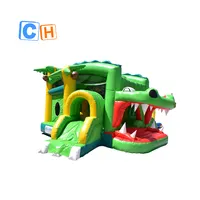Équipement gonflable de 17 cm en PVC, différentes formes, jeu de tir d'alligator, château d'air, maison avec curseur