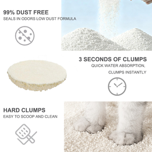 Lettiera per Gatti OEM/ODM a Base di Cassava 2,5kg, Campioni Gratuiti, Bassa Dispersione, Facile da Raccogliere, Lettiera Vegetale - Product Image 2