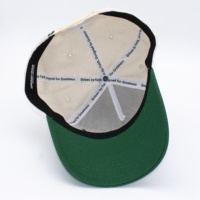 Gorra de Béisbol de 5 Paneles de Diseño Popular en 3 Tonos de Color, con Logotipo Personalizado, Beige, Blanco y Verde, Gorra de Golf Unisex para Niños y Adultos