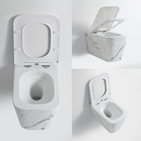 WC suspendu en céramique pour salle de bain, vente en gros d'articles sanitaires d'usine