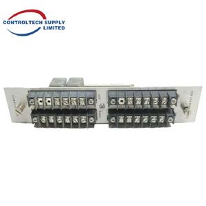 Module d'E/S à haute efficacité Bently Nevada 80074-01 - Product Image 2