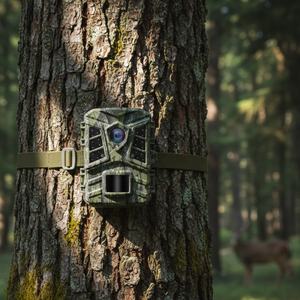 Cámara de Caza Sensvision, Cámara Oculta 4G LTE Celular con Energía Solar, Visualización en Vivo, GPS, Visión Nocturna, para Fauna Silvestre, Caza, Senderismo - Product Image 1