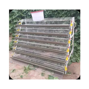 Automático um tipo grande capacidade 800 pássaros galvanizados egg camada recolhimento gaiola para venda