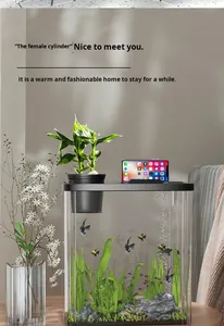 ホットセール卸売 モダンな長方形アクリル水槽 環境に優しい耐久性のある透明な卓上水槽 簡単清掃 リビングに最適 - Product Image 4