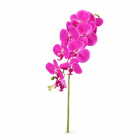 Bunga Phalaenopsis Modern 3D Print Ramah Lingkungan dengan Sentuhan Realistis dari Karet Lunak untuk Dekorasi Pernikahan, Luar Ruangan, dan Rumah